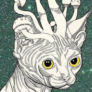 Meet your Posher, Josh